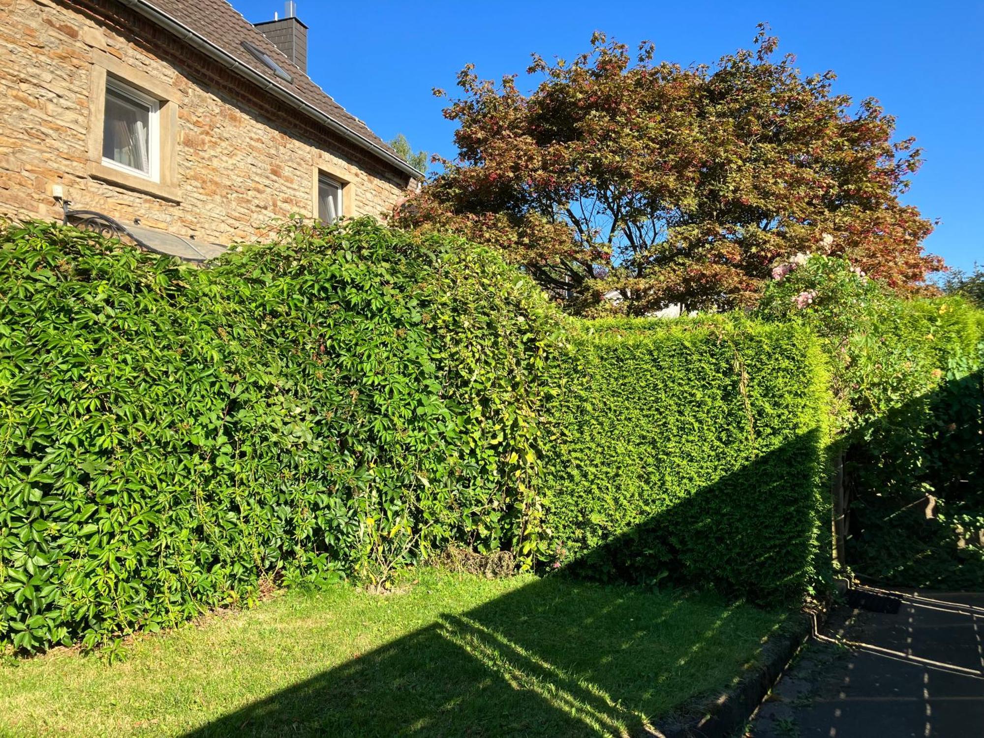 Ferienwohnung Im Gruenen Eg Mit Terrasse Herdecke Dış mekan fotoğraf